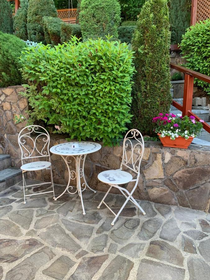 Pensiunea Eva Bed & Breakfast Sovata Exterior photo
